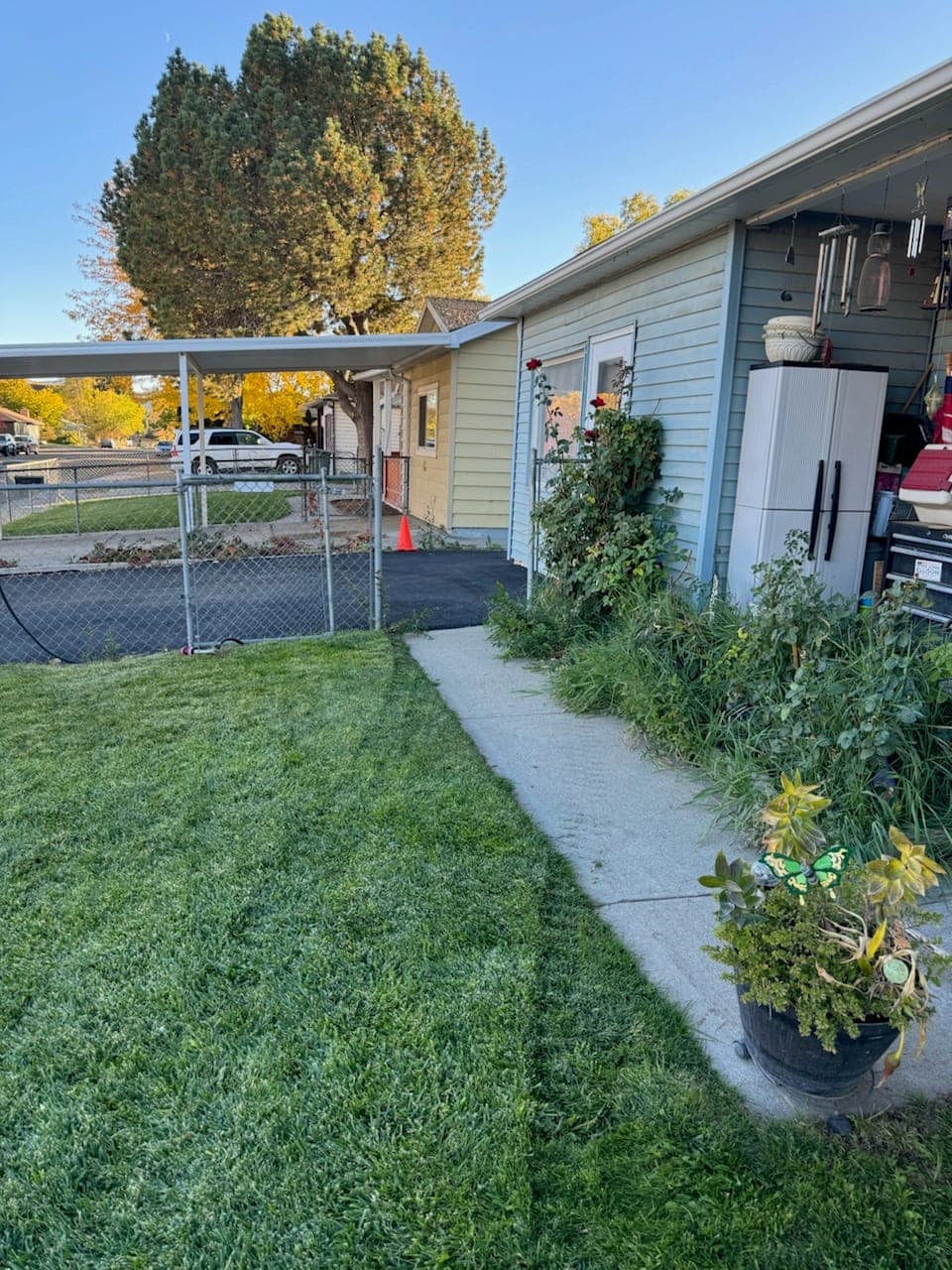 Galvanized chain-link fence and walk gate beside a lawn and landscaped residential yard