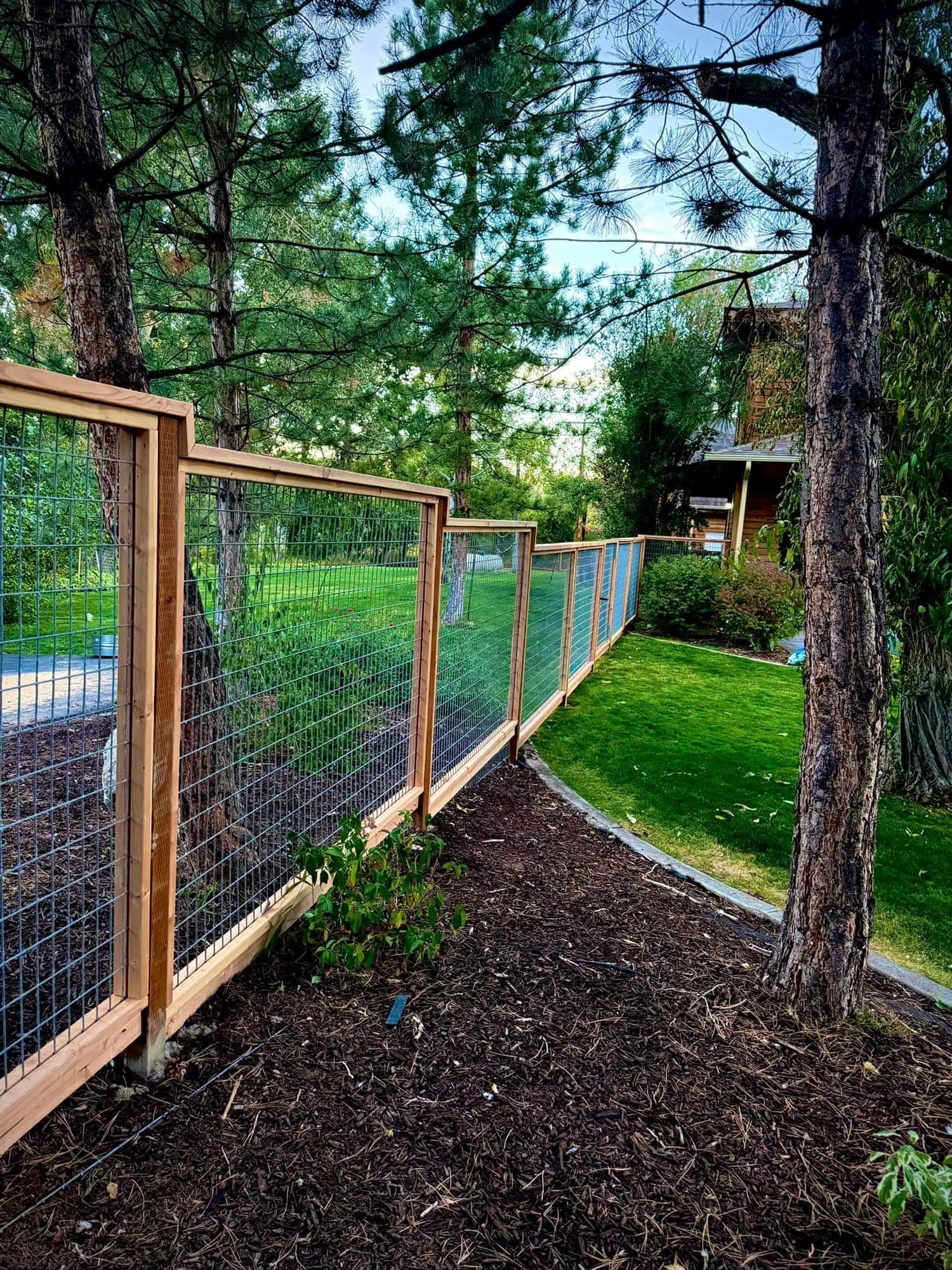 Cedar-framed hog wire fence under tall pines with a mulched bed and lawn, Elko, Nevada