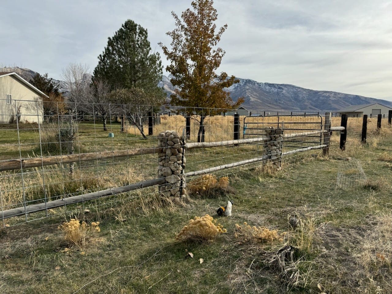 Hog wire fence on peeled log rails with rock-filled gabion posts and snowy mountains behind, Lamoille, Nevada